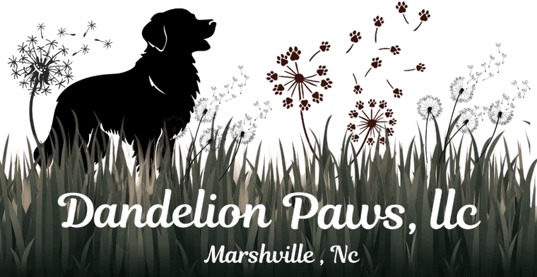 Dandelion Paws