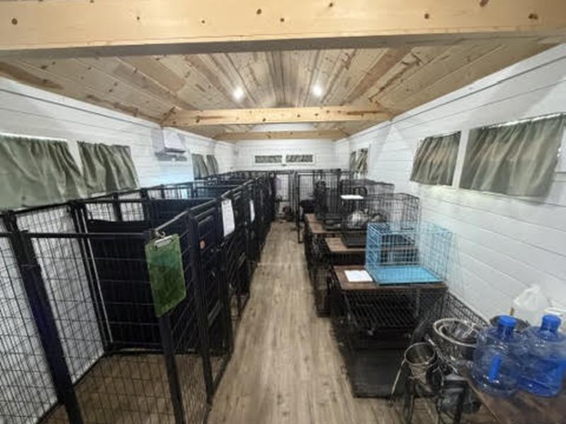 Inside the boarding kennels