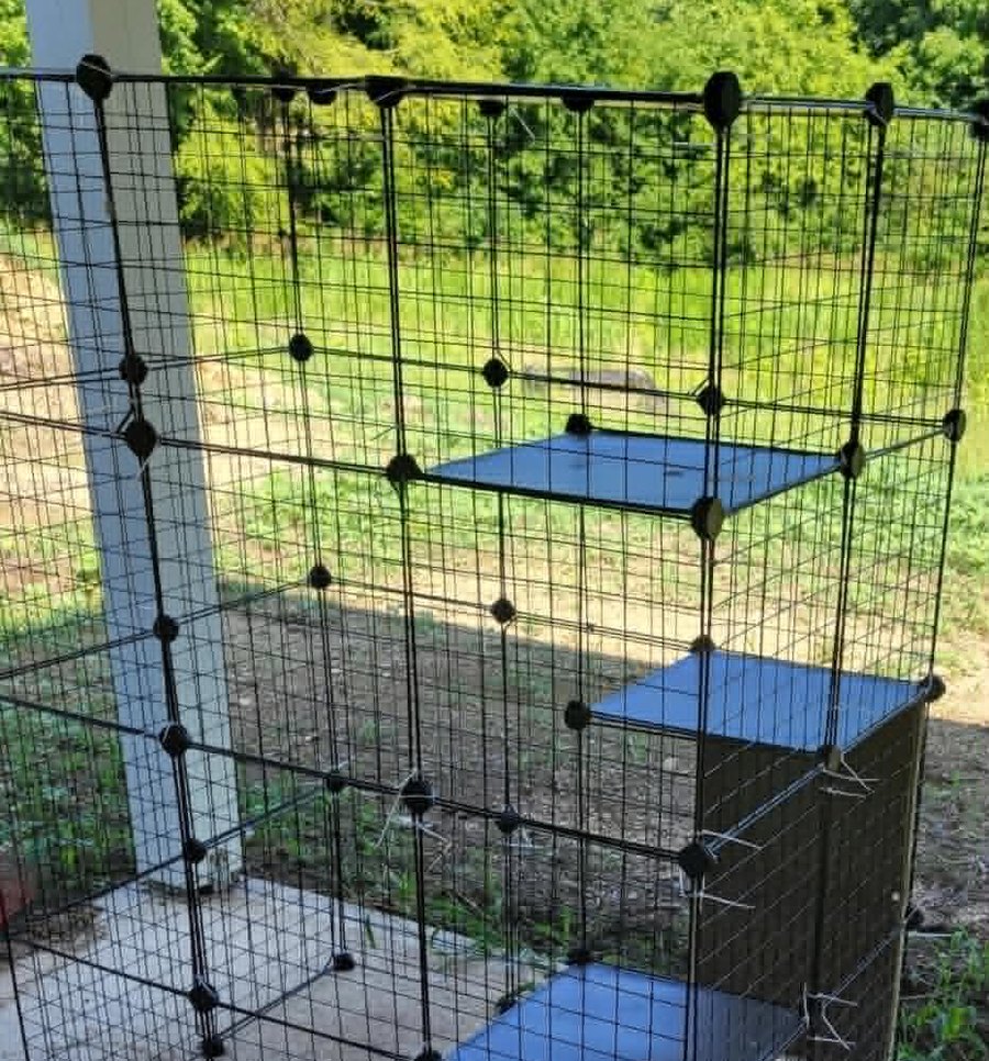 Outdoor cat enclosure